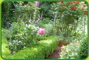 Bild eines Gartens